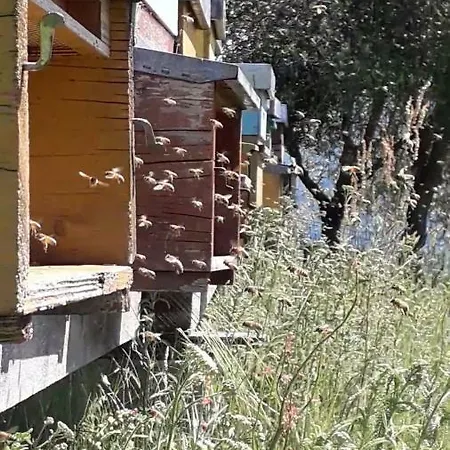Apartmán Badalone