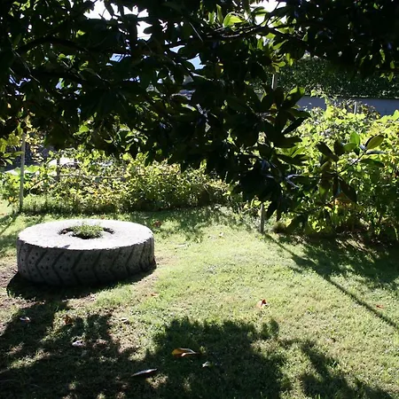 Badalone * דומאסו